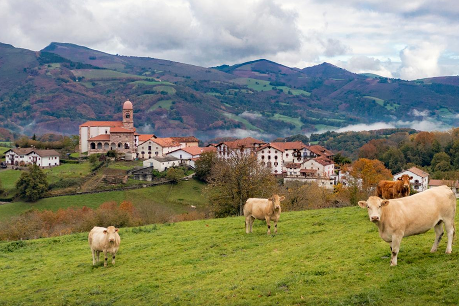 Food & Wine of Navarra