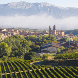Food & Wine of La Rioja